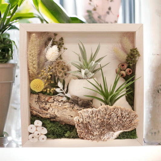 Airplant Art Frame - Forest Moss