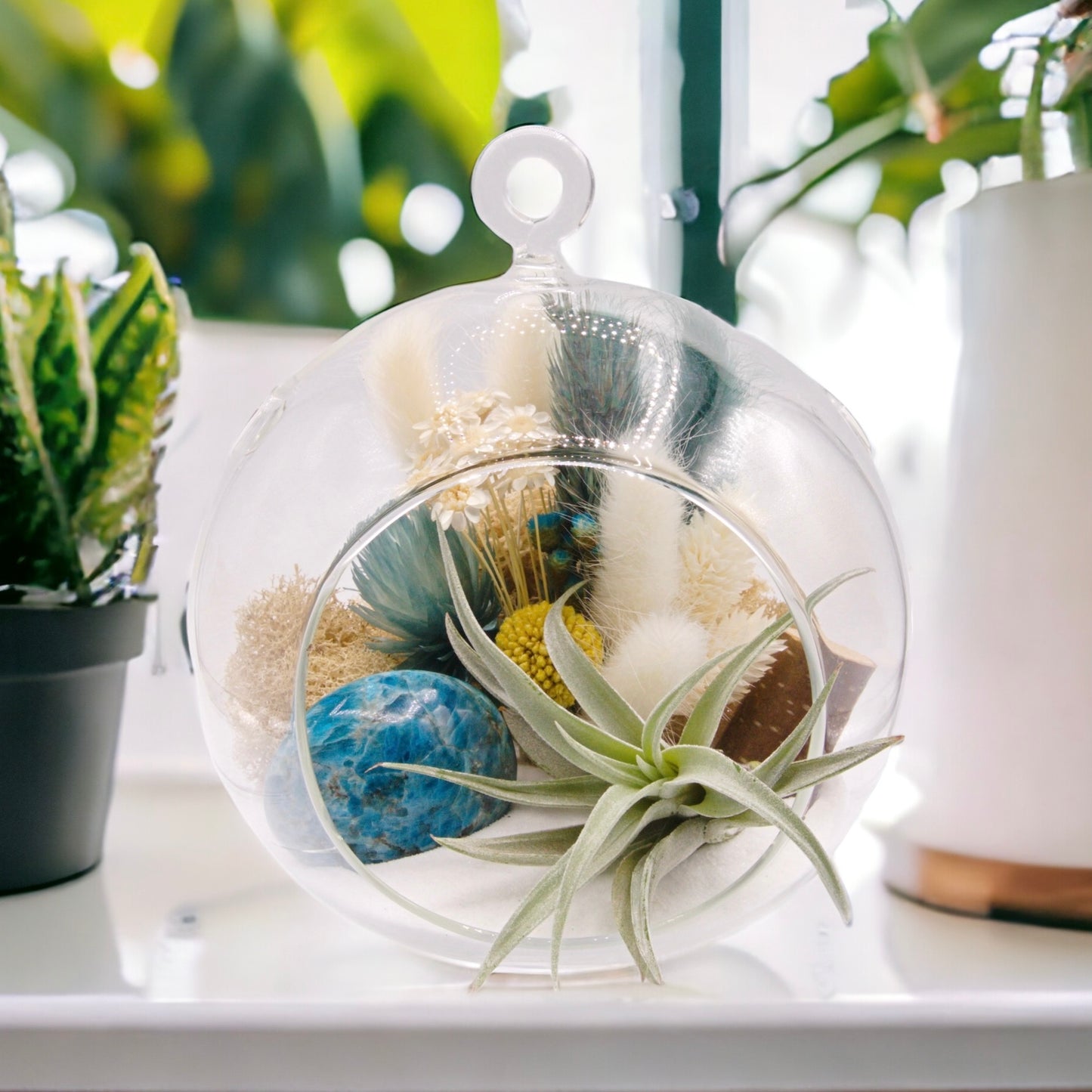 Bubble Airplant Terrarium - Apatite stone