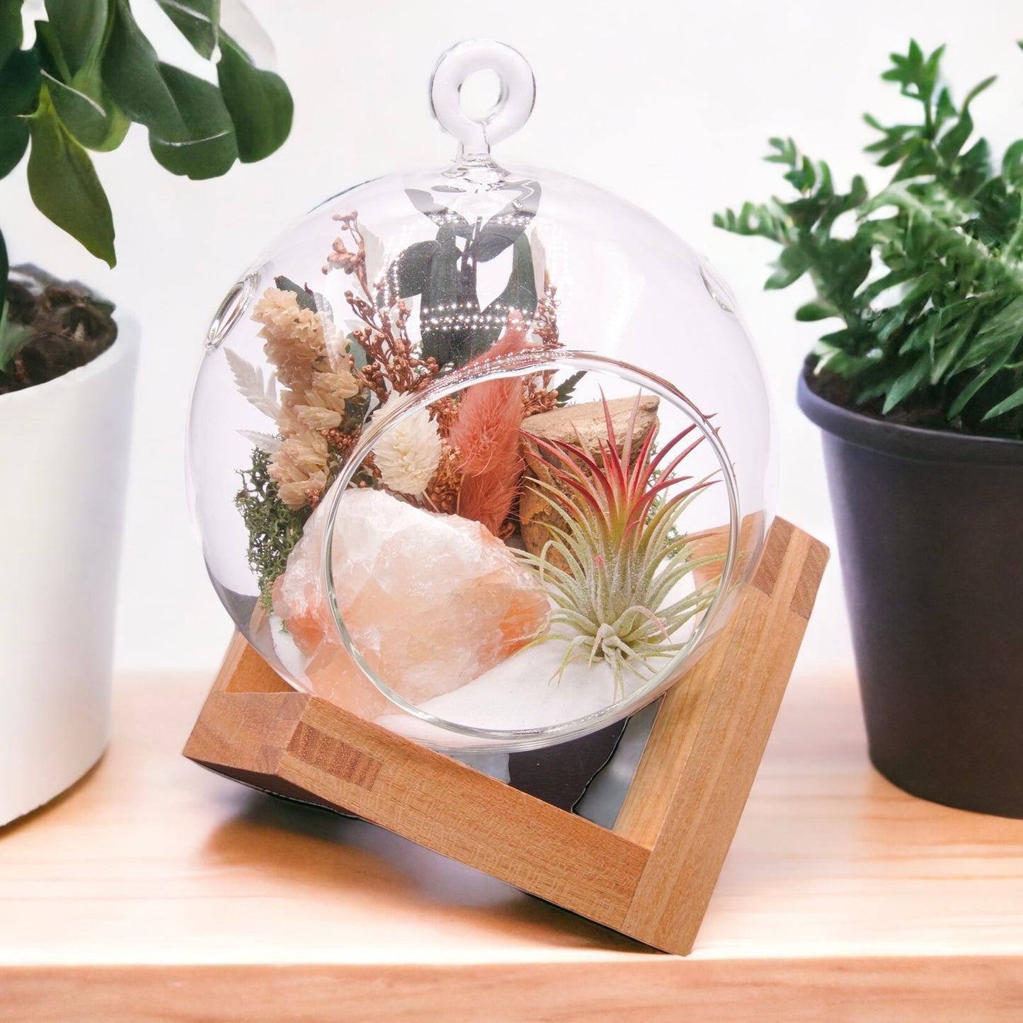 Terrarium à bulle avec une plante aérienne et un cristal de calcite tricolore