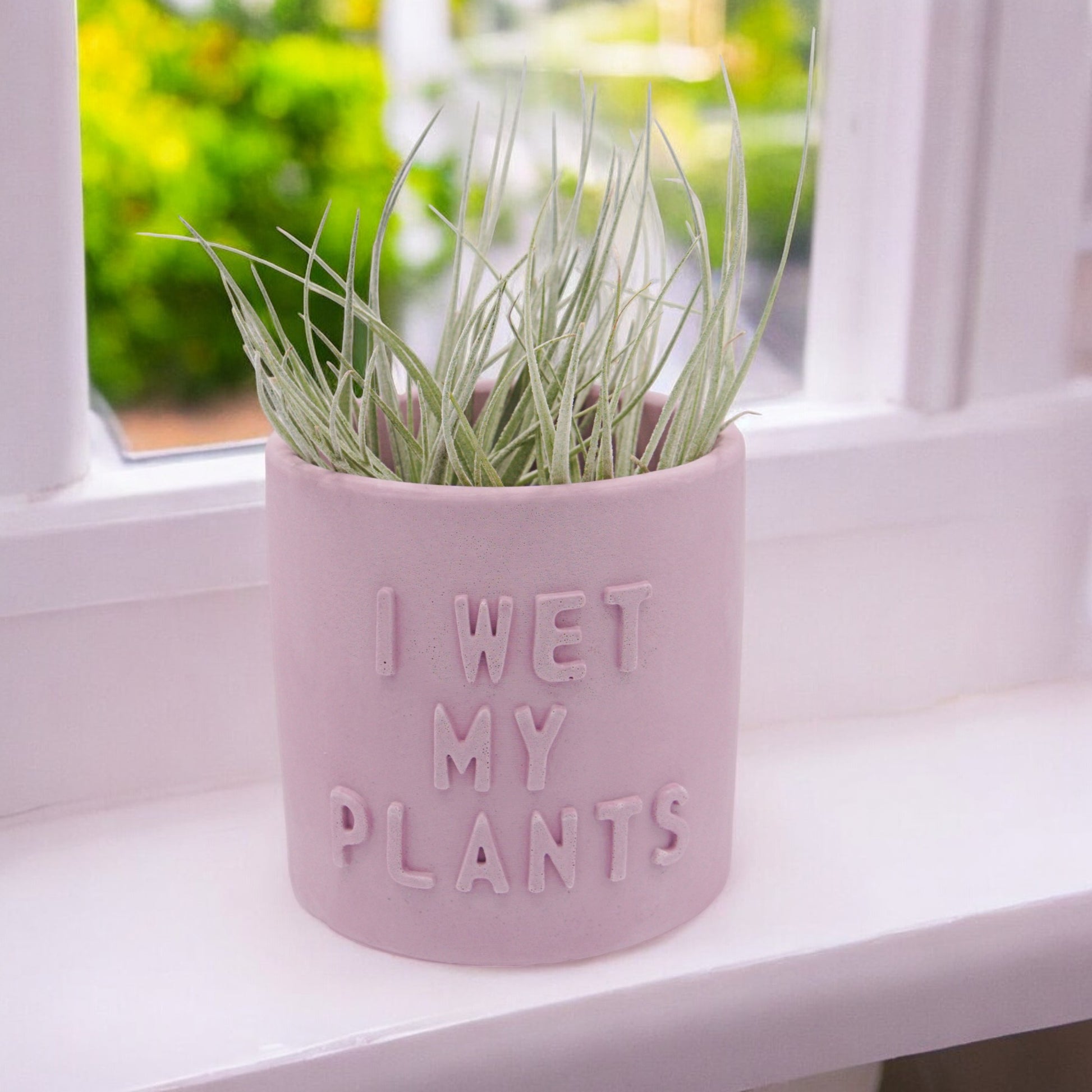 Handmade hydrostone airplant pots with funny sayings I wet my Plants or Please Don't Die