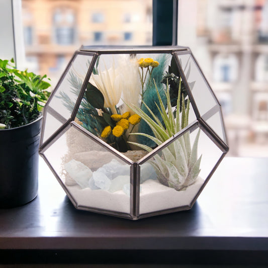 Terrarium Victorian à bol avec une plante aérienne et des cristaux d'aigue-marine
