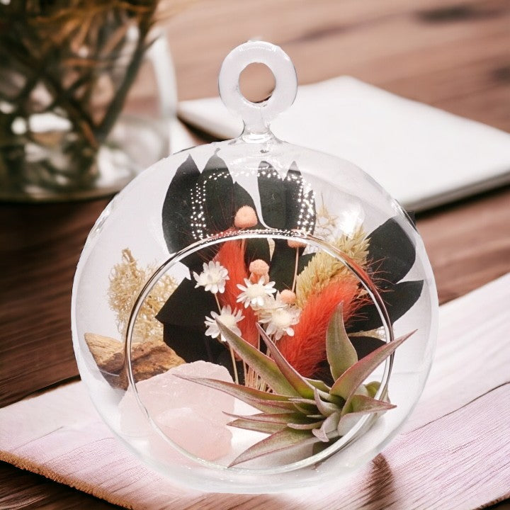 Glass bubble airplant terrarium with peach dried flowers, sand, moss, wood and rose quartz crystals
