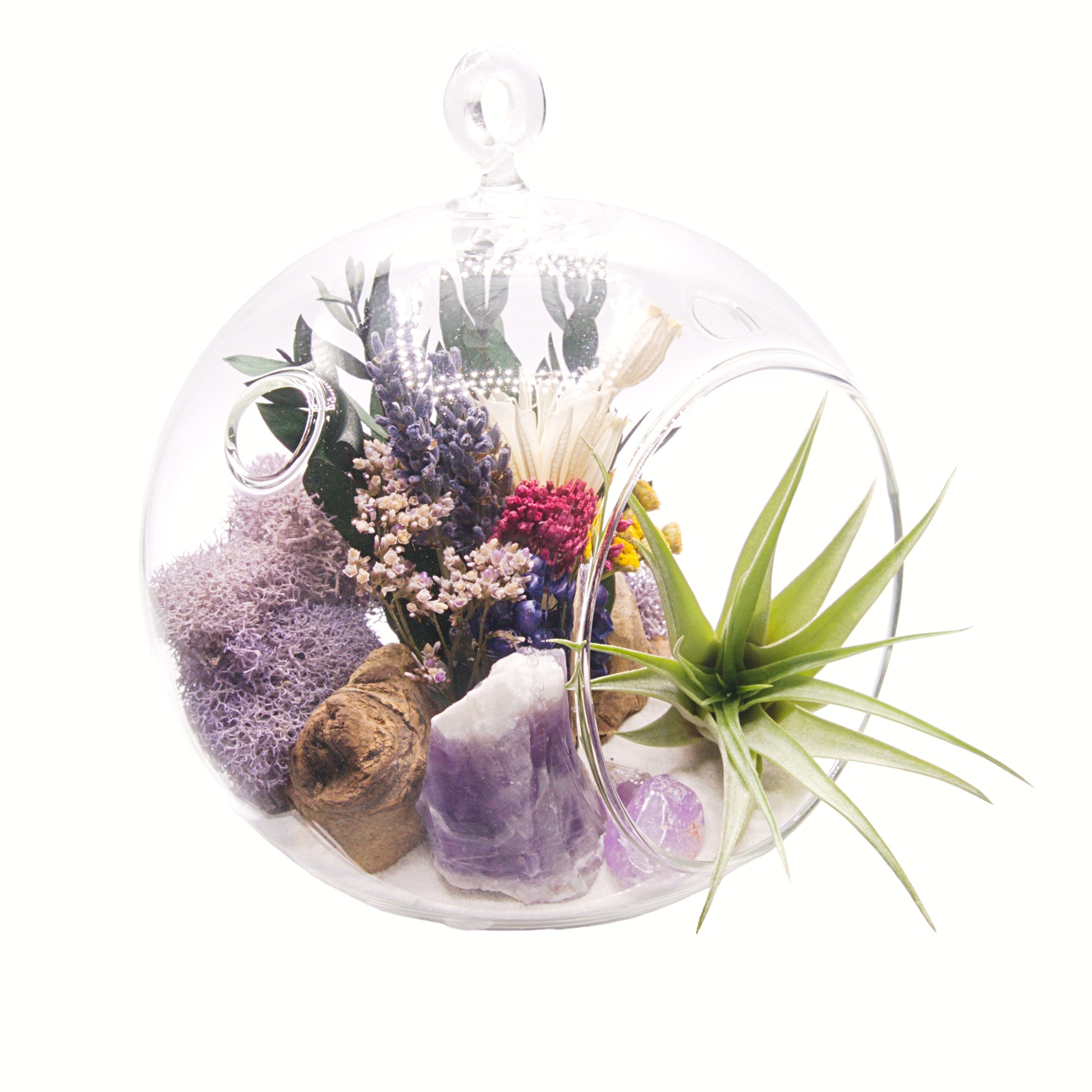 Glass bubble airplant terrarium with dried flowers and amethyst crystals
