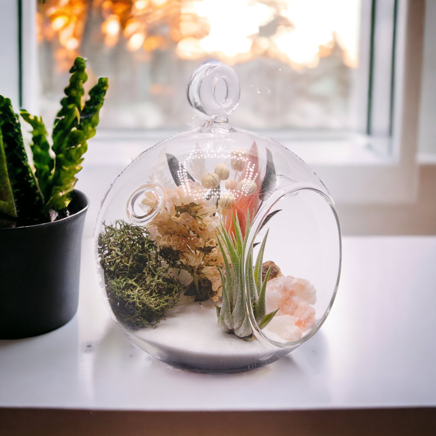 Terrarium à bulle de plante aérienne - cristaux de calcite tri-colorées