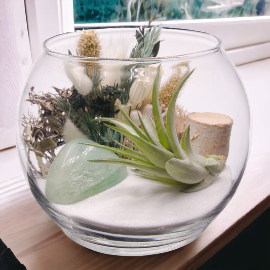 Glass bowl terrarium with dried flowers, moss, sand, an airplant and a green fluorite crystal