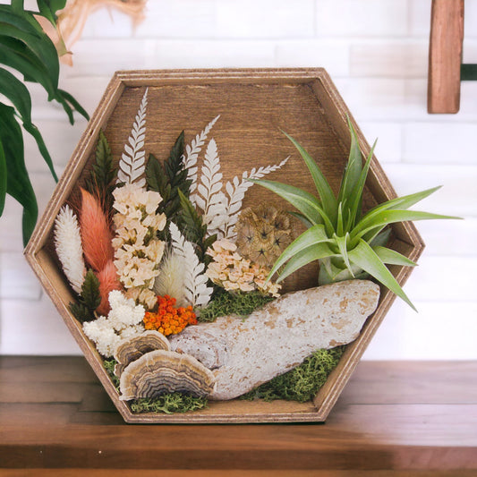 Hexagon wood box frame antique stain filled with dried flowers, moss, wood, dried mushrooms and an airplant