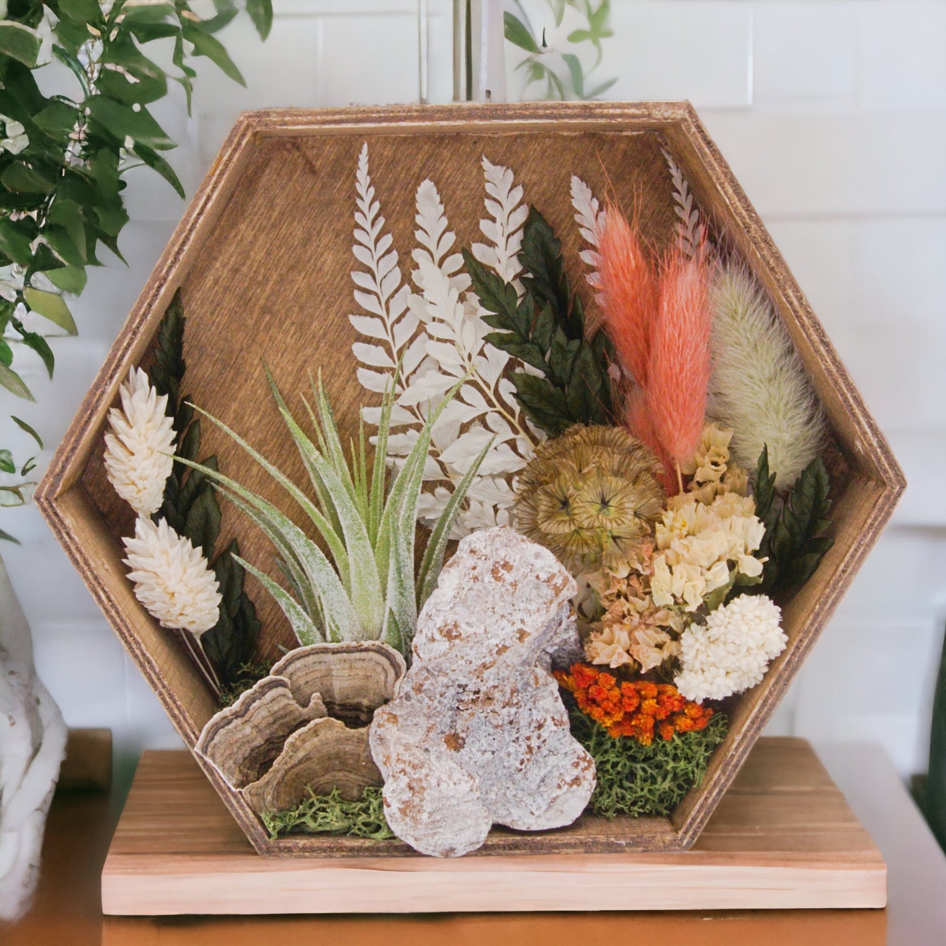 Hexagon wood box frame antique stain filled with dried flowers, moss, wood, dried mushrooms and an airplant