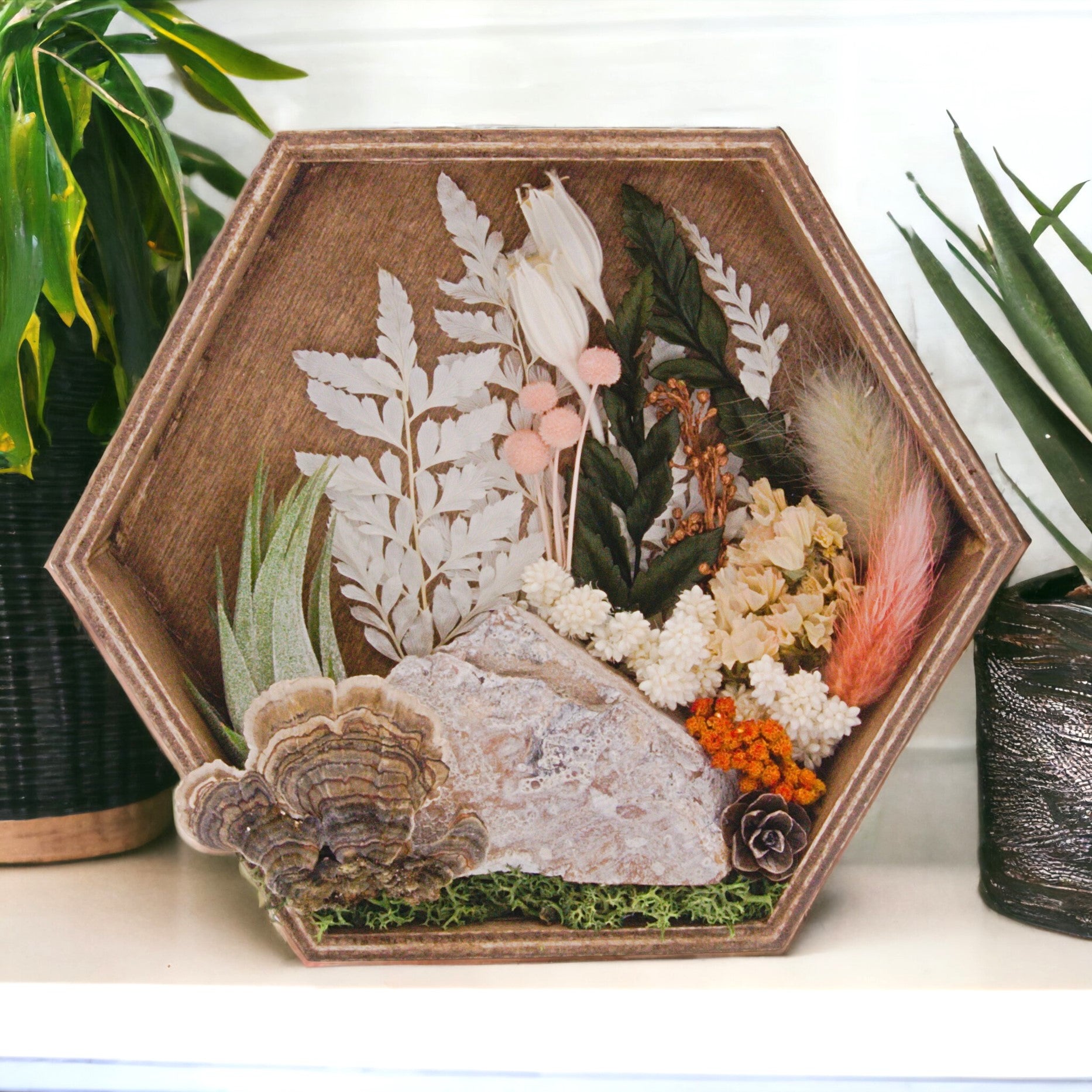 Hexagon wood box frame antique stain filled with dried flowers, moss, wood, dried mushrooms and an airplant