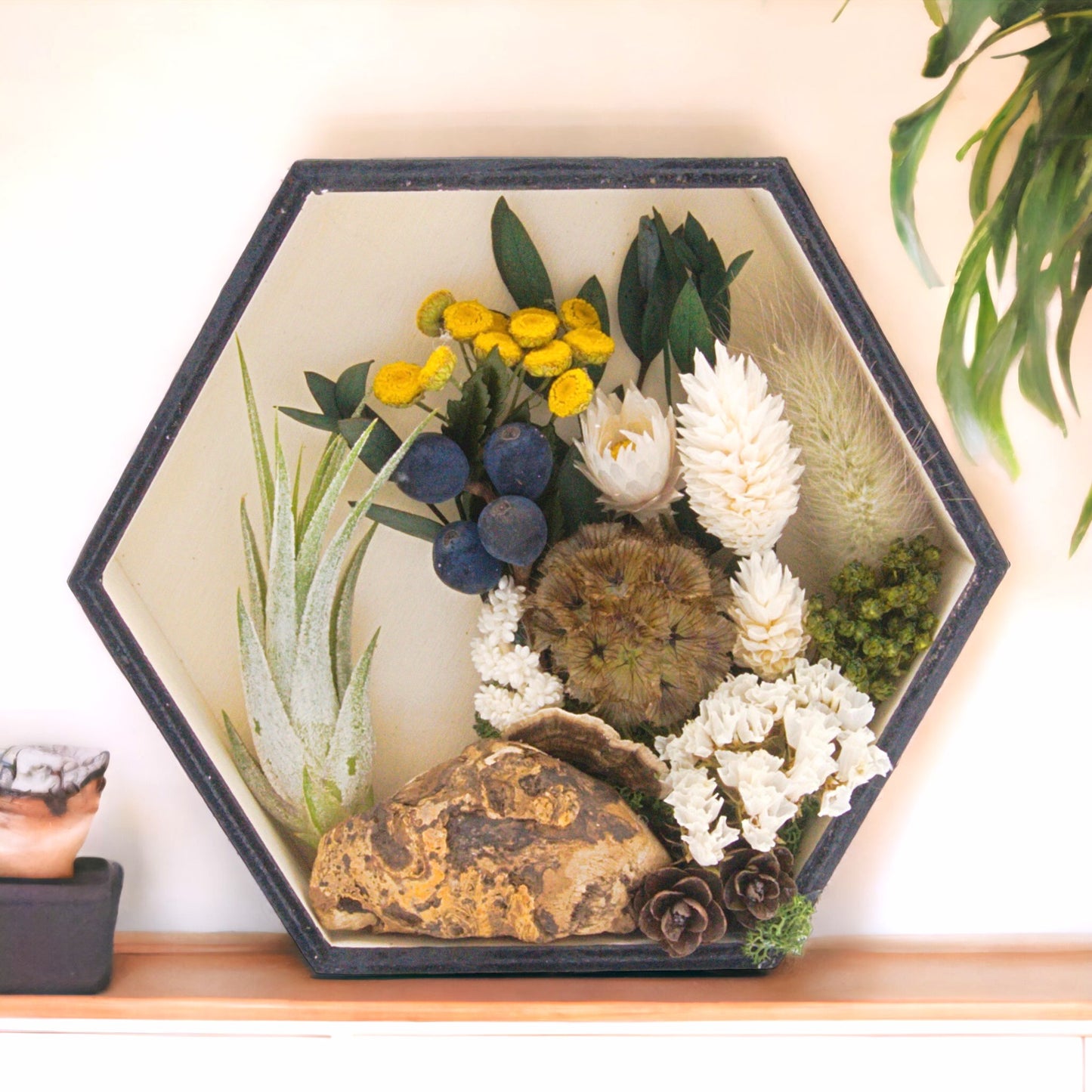 Hexagon wood box frame stained black with dried flowers, moss, wood, dried mushrooms, dried berries and an airplant