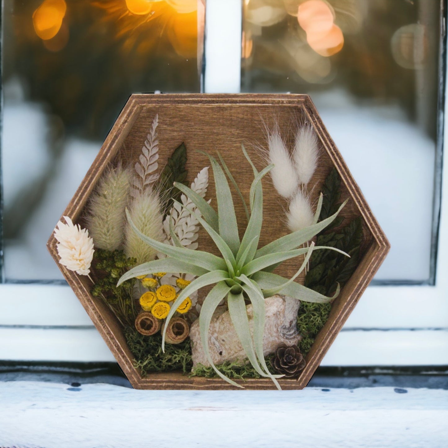 Wooden hexagon box frame stained, filled with dried flowers, moss, wood, dried mushrooms and an airplant