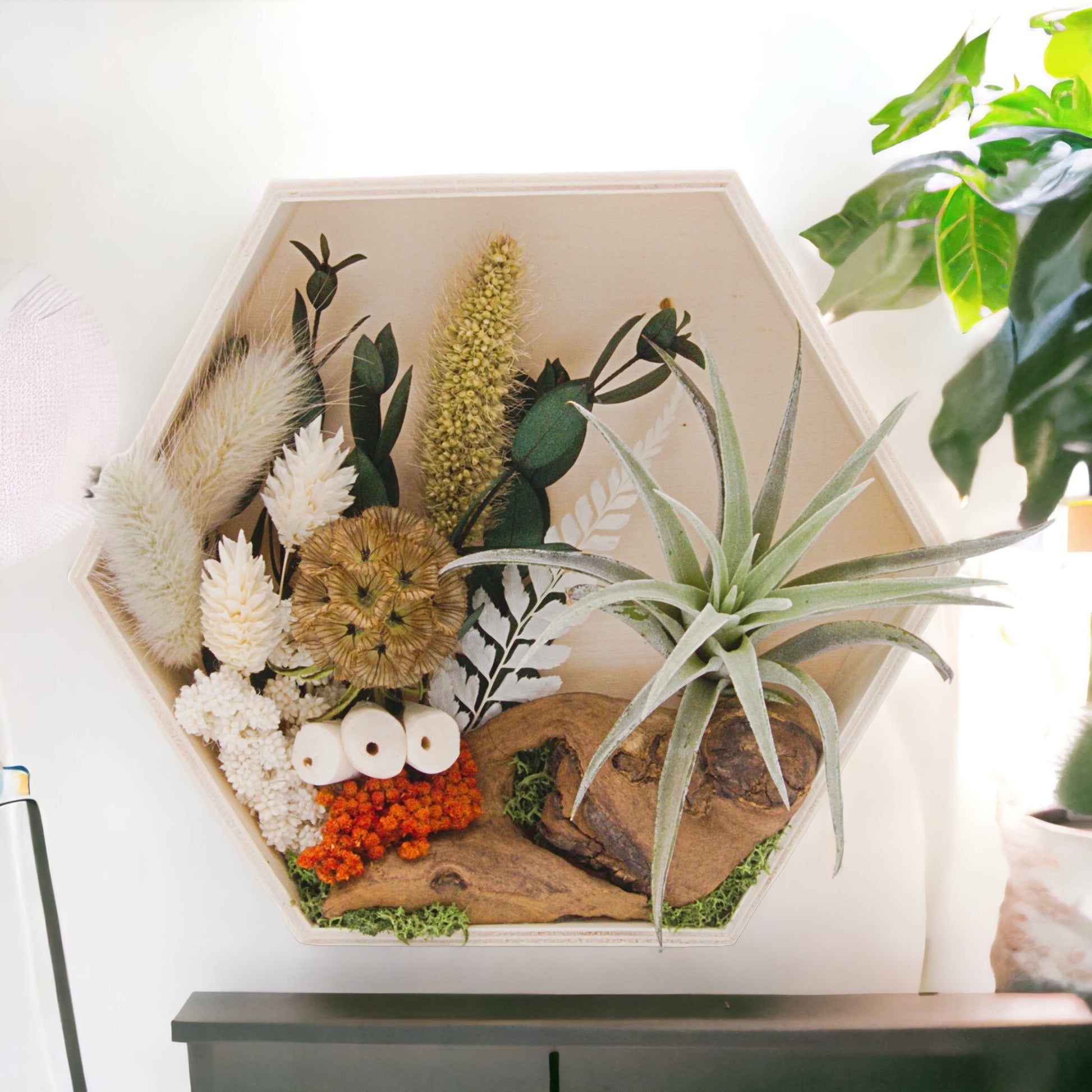 Wooden hexagon box frame filled with dried flowers, wood, moss and an airplant