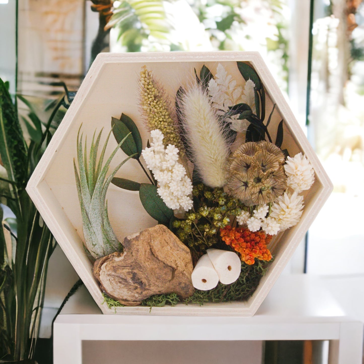 Wooden hexagon box frame filled with dried flowers, wood, moss and an airplant