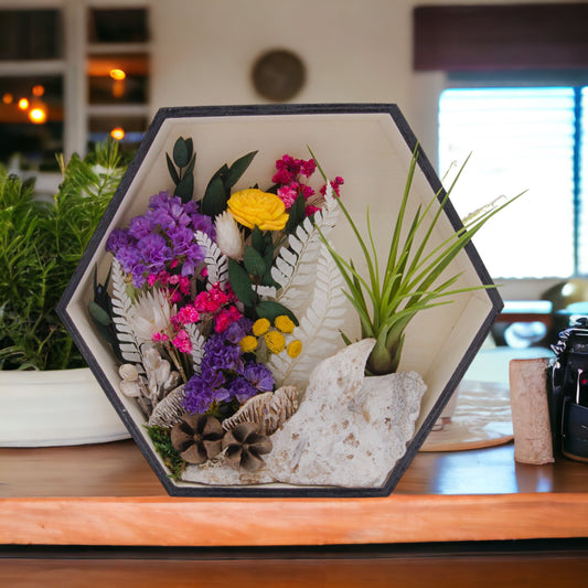 Wooden hexagon box frame stained black, filled with dried flowers, wood, moss and an airplant