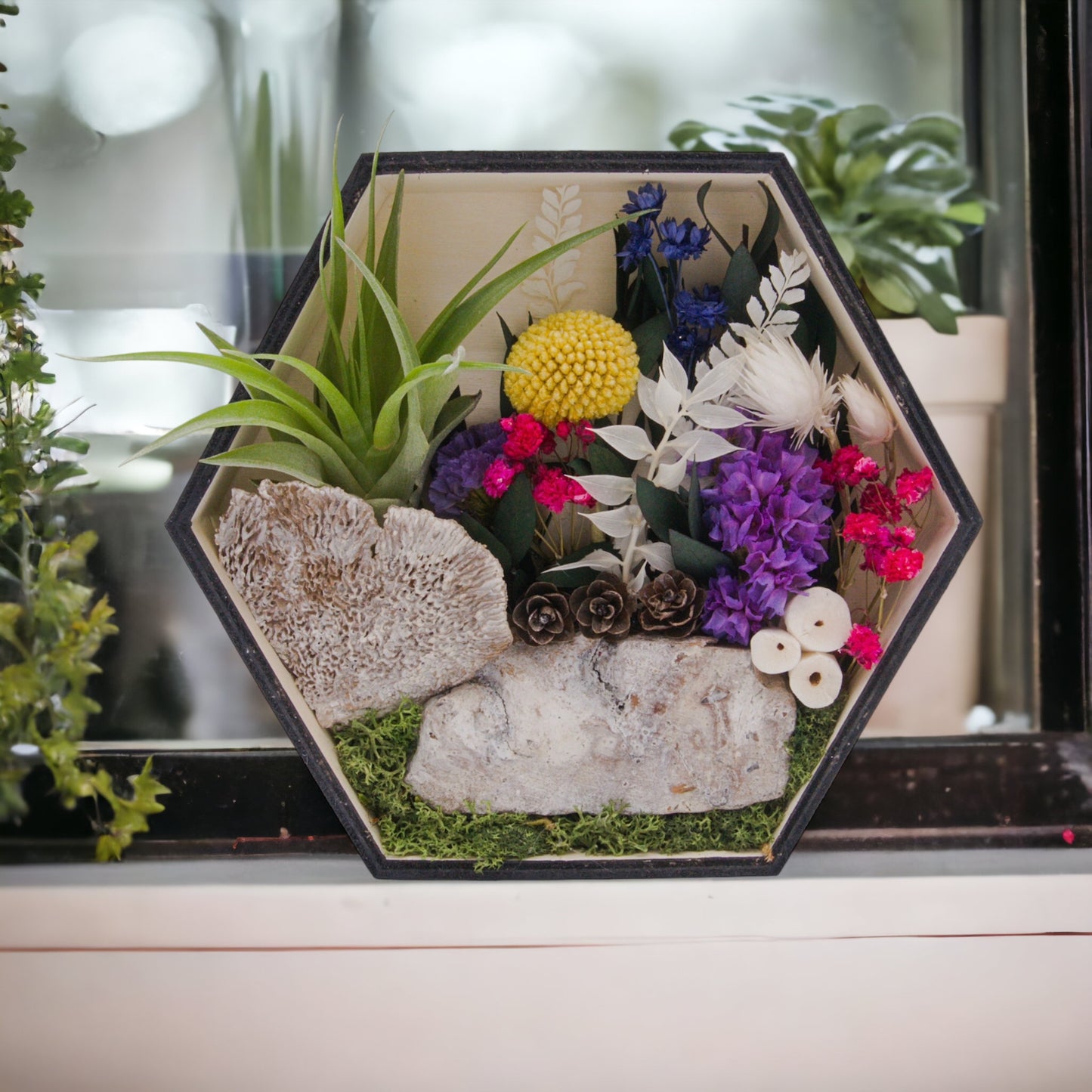 Wooden hexagon box frame stained black, filled with dried flowers, wood, moss and an airplant