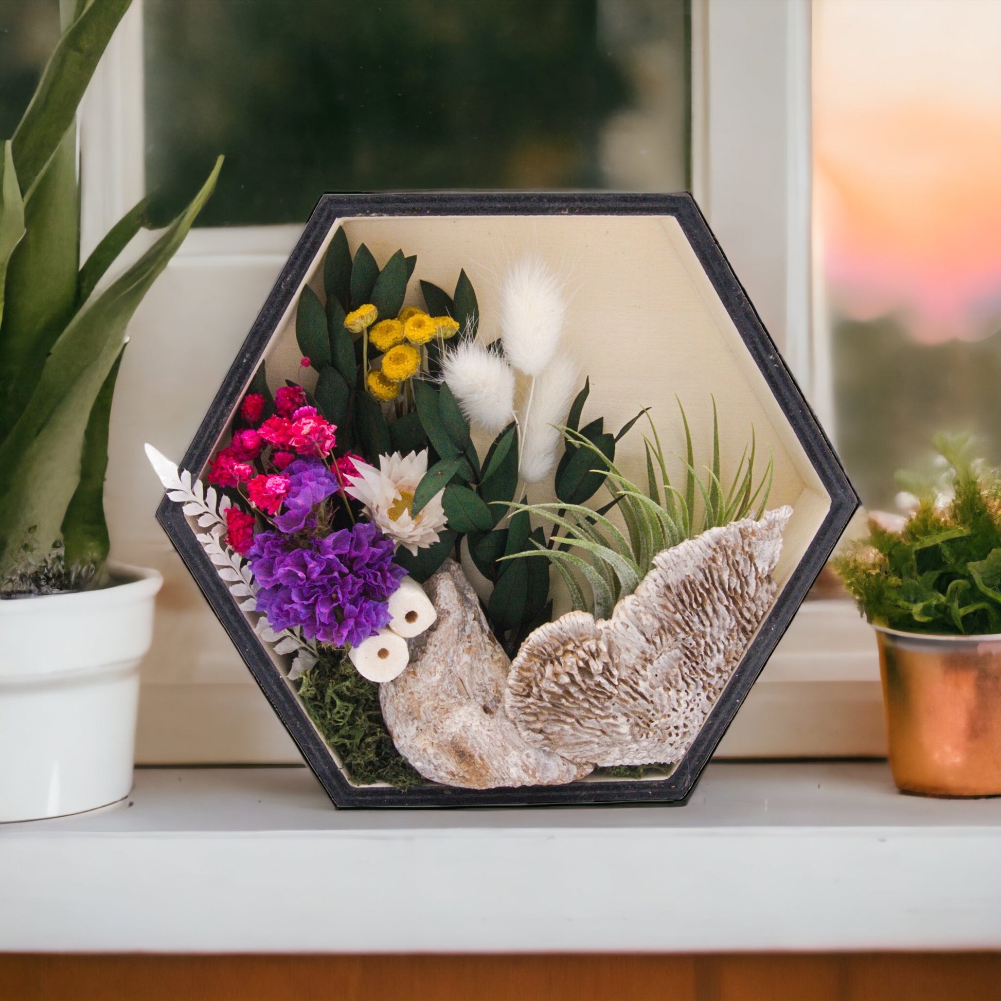 Wooden hexagon box frame stained black, filled with dried flowers, wood, moss and an airplant