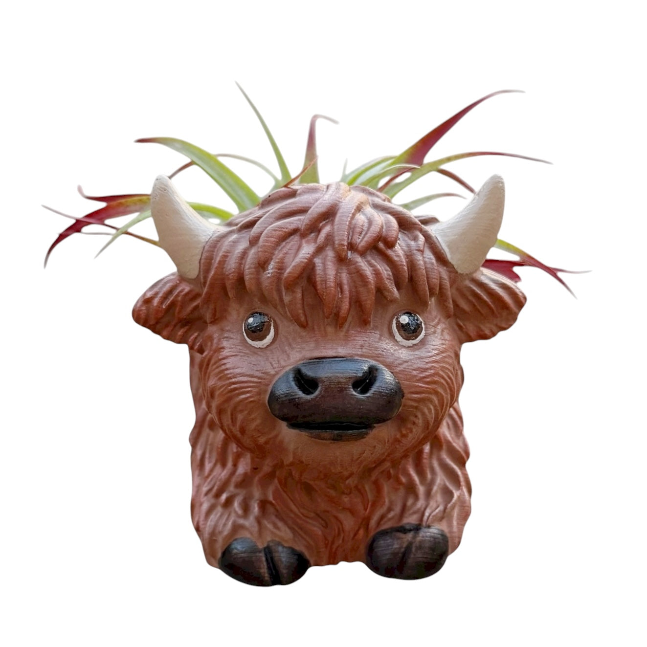 Hamish the Highland Cow Airplant Pot