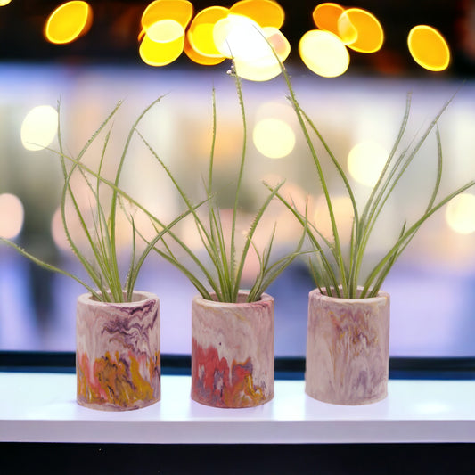 Sunset-inspired marbled hydrostone airplant pots