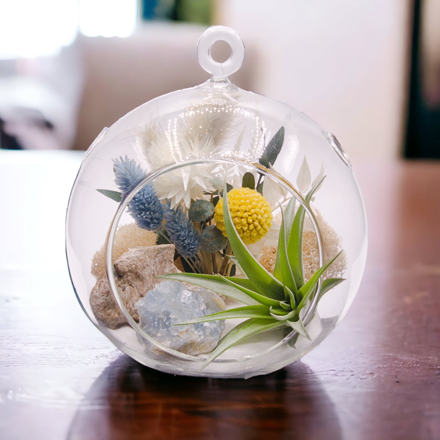 Terrarium à bulle avec une plante aérienne et un cristal de celestite