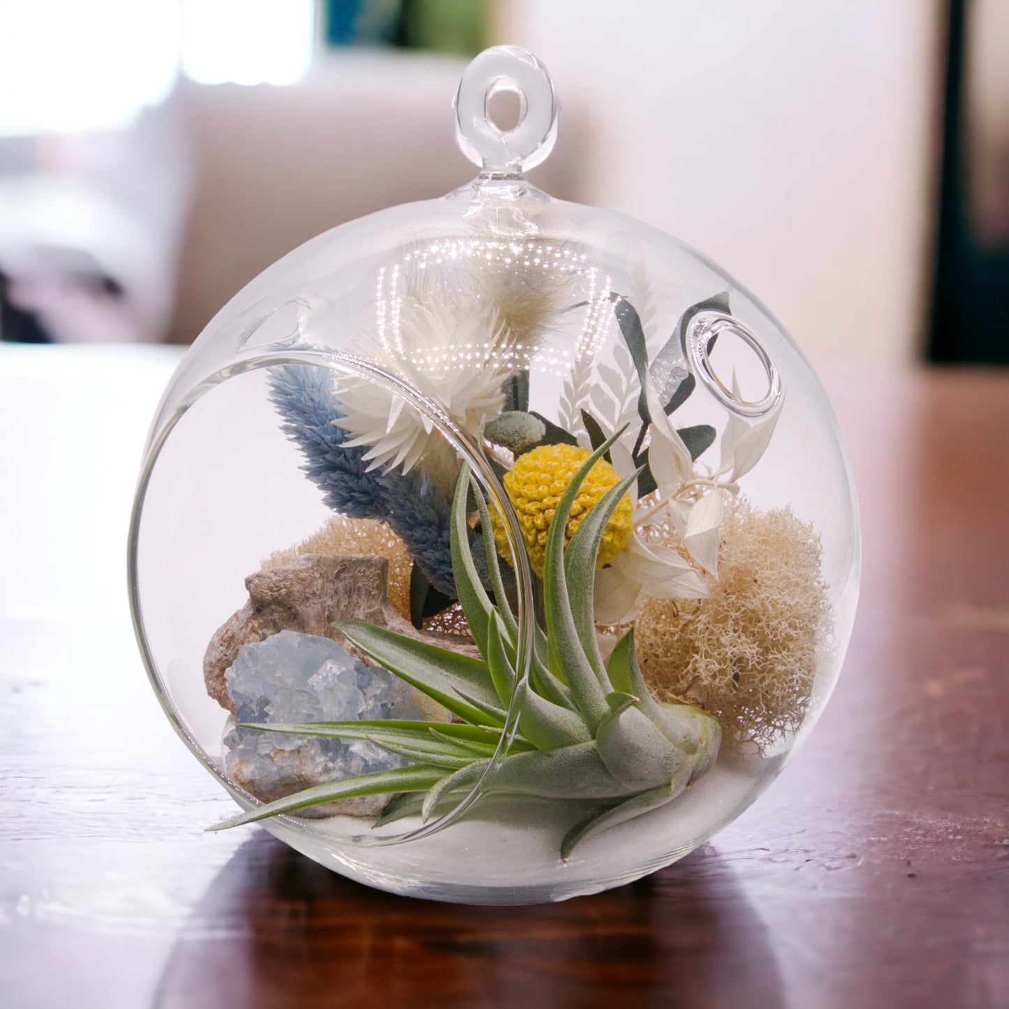 Terrarium à bulle avec une plante aérienne et un cristal de celestite