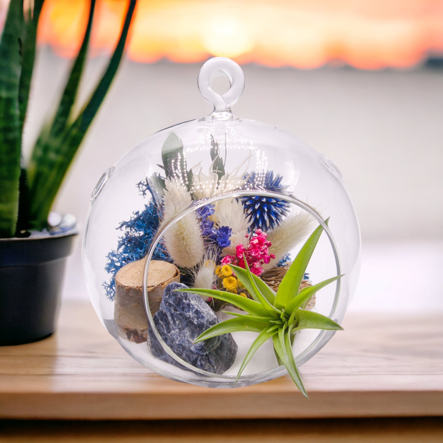 Glass bubble terrarium with sand, dried flowers, wood, moss, sodalite stone, and an airplant
