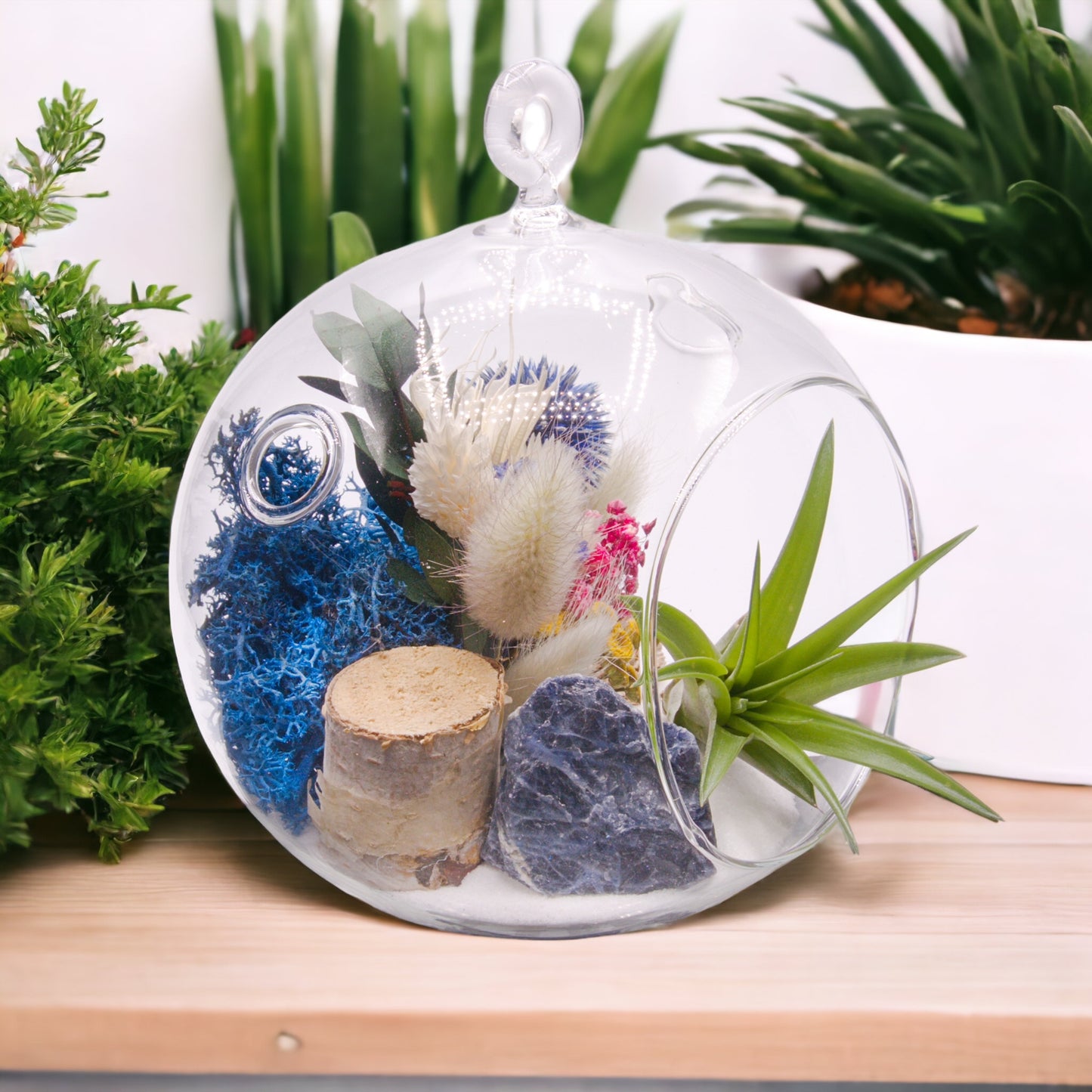 Glass bubble terrarium with sand, dried flowers, wood, moss, sodalite stone, and an airplant