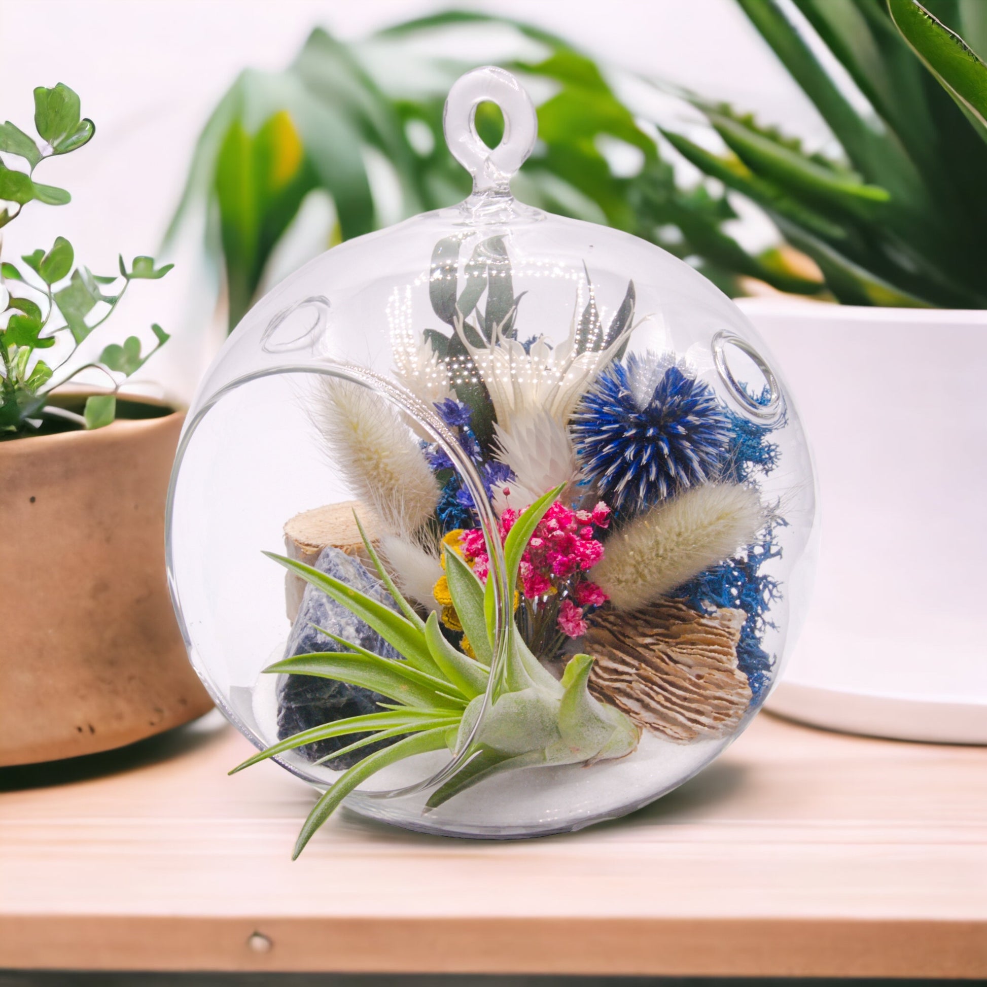 Glass bubble terrarium with sand, dried flowers, wood, moss, sodalite stone, and an airplant