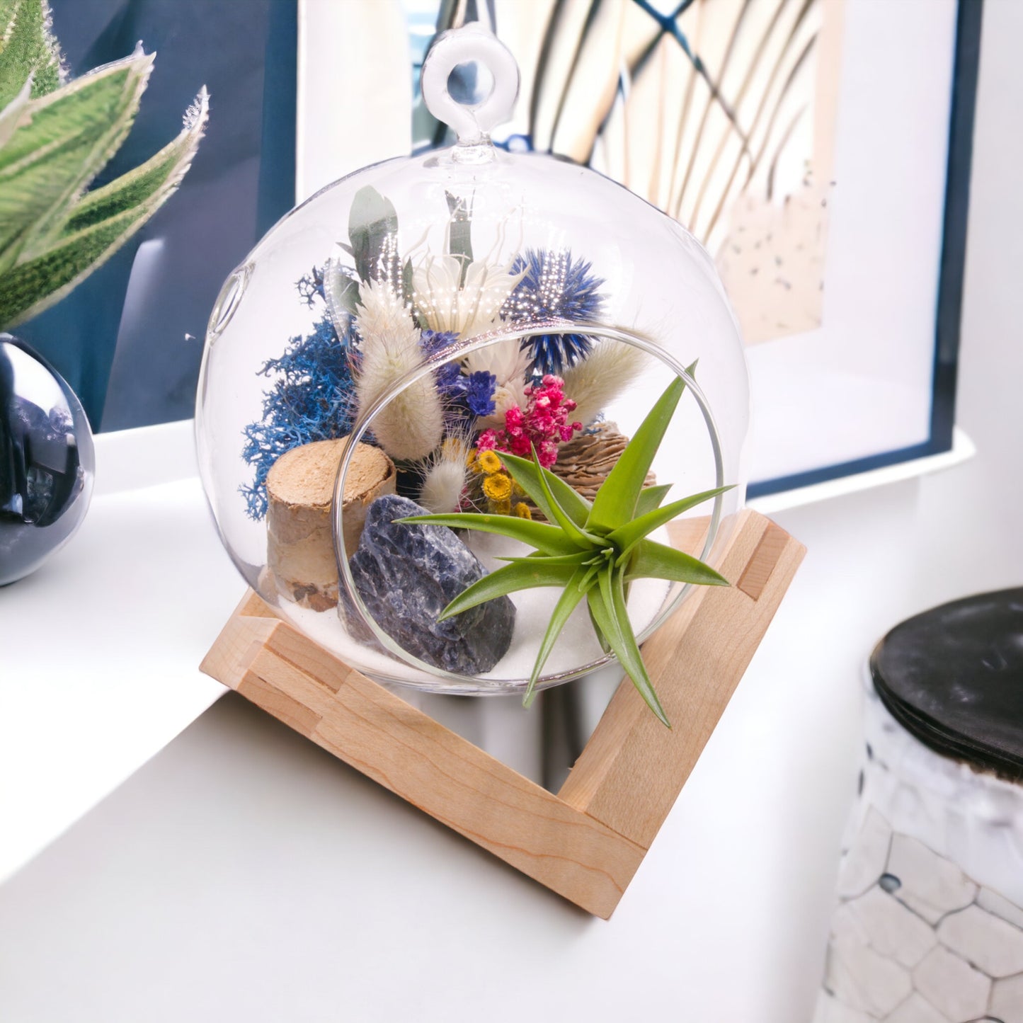 Glass bubble terrarium with sand, dried flowers, wood, moss, sodalite stone, and an airplant