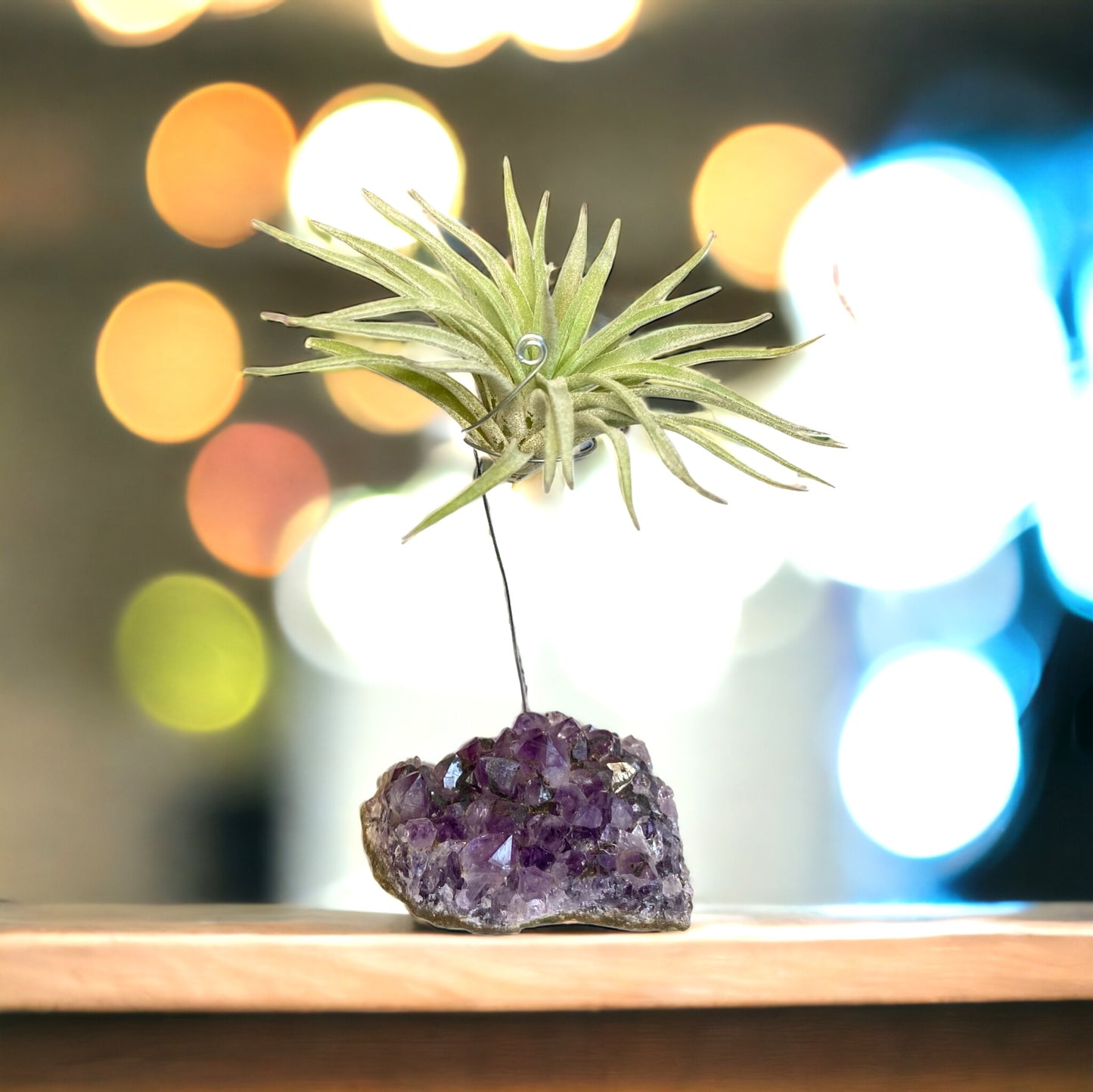 Support en Cristal d'Améthyste pour plante aérienne