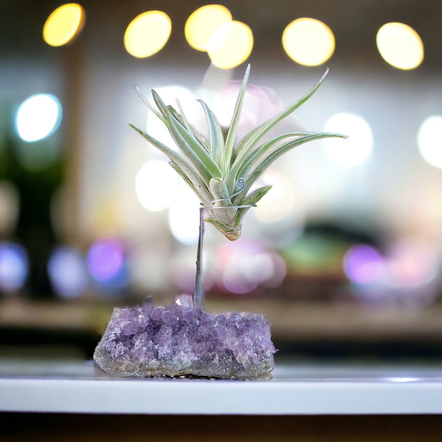 Support en Cristal d'Améthyste pour plante aérienne