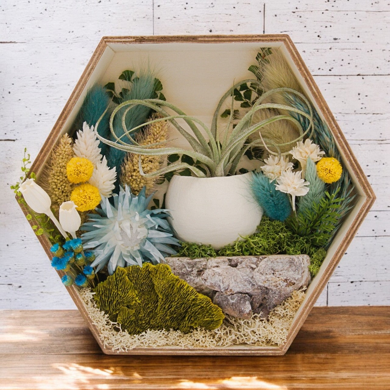 Airplant Art Frames - Turquoise