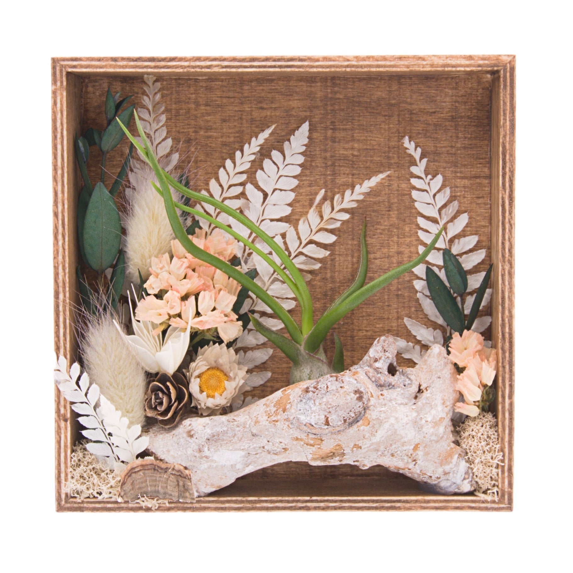 Stained wood box frame filled with dried flowers, wood, moss, dried mushrooms and an airplant