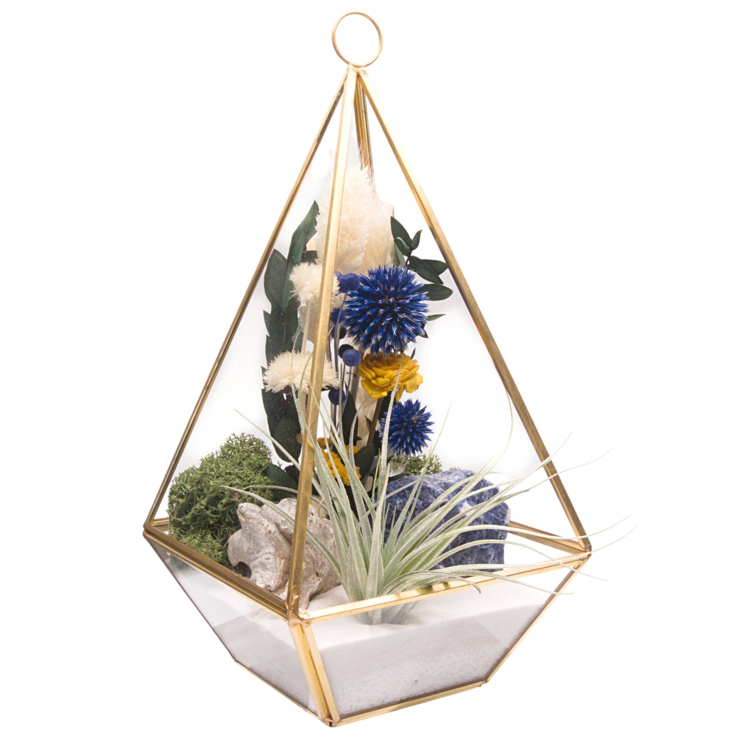 Large Victorian Airplant Terrarium with Blue Sodalite