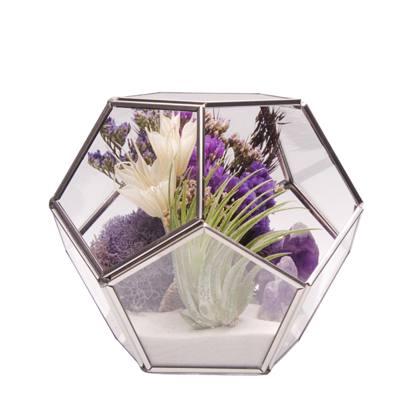 Terrarium Victorian à bol avec une plante aérienne et des cristaux d'améthystes