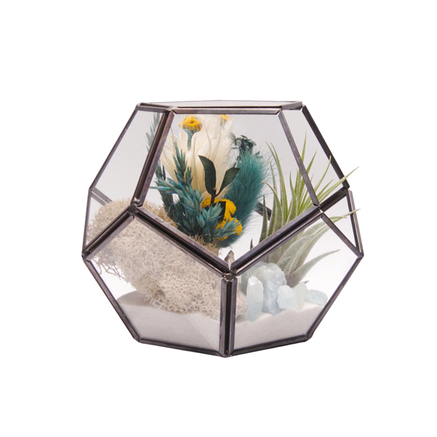 Terrarium Victorian à bol avec une plante aérienne et des cristaux d'aigue-marine