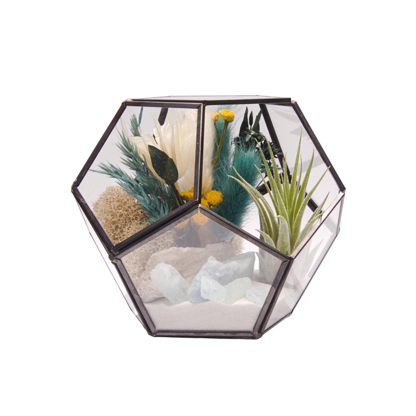 Terrarium Victorian à bol avec une plante aérienne et des cristaux d'aigue-marine