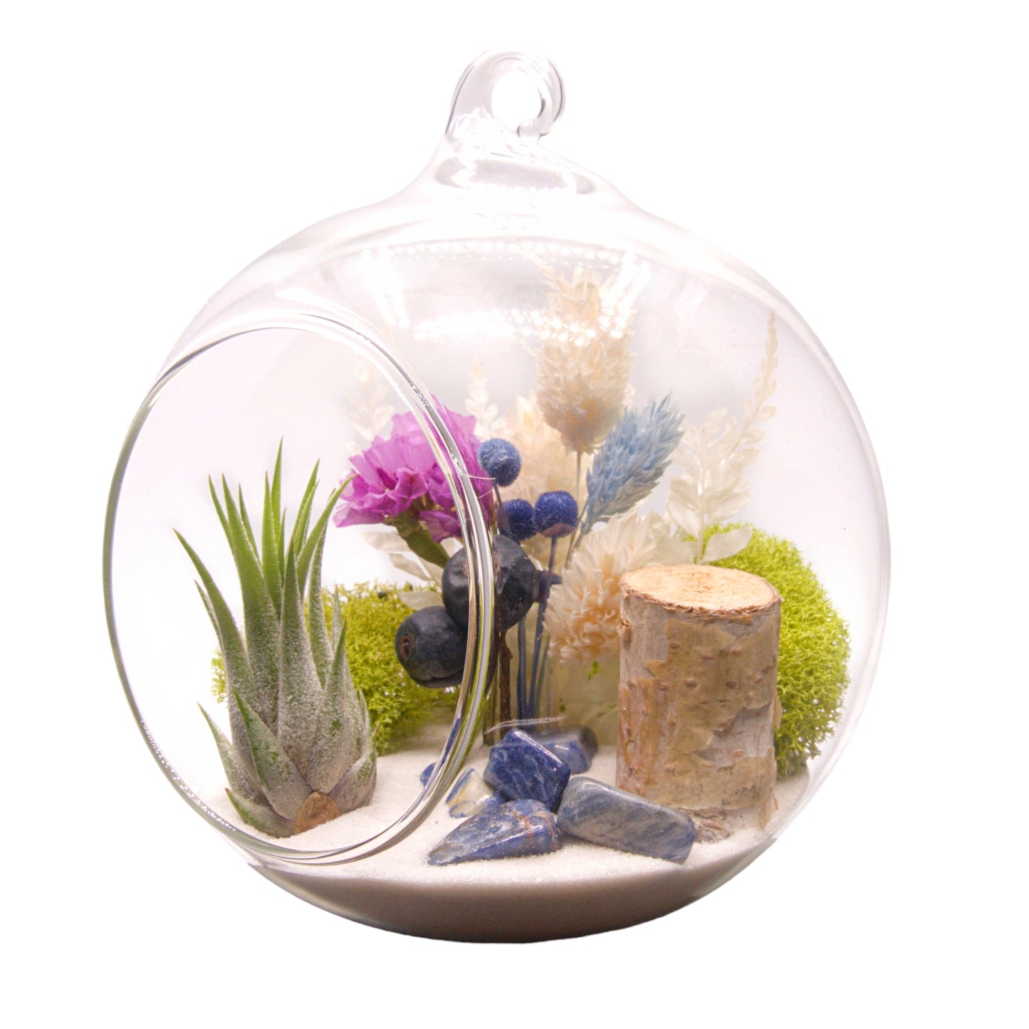 Terrarium à bulles de plante aérienne - Sodalite