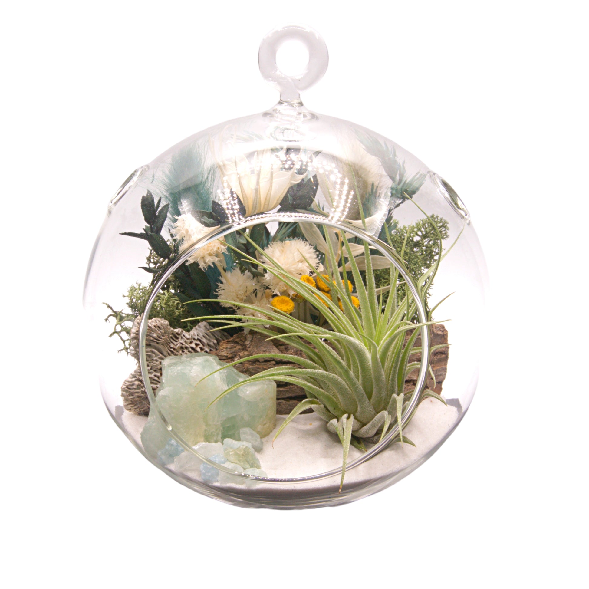 Glass bubble terrarium with airplant, dried flowers and aquamarine crystals