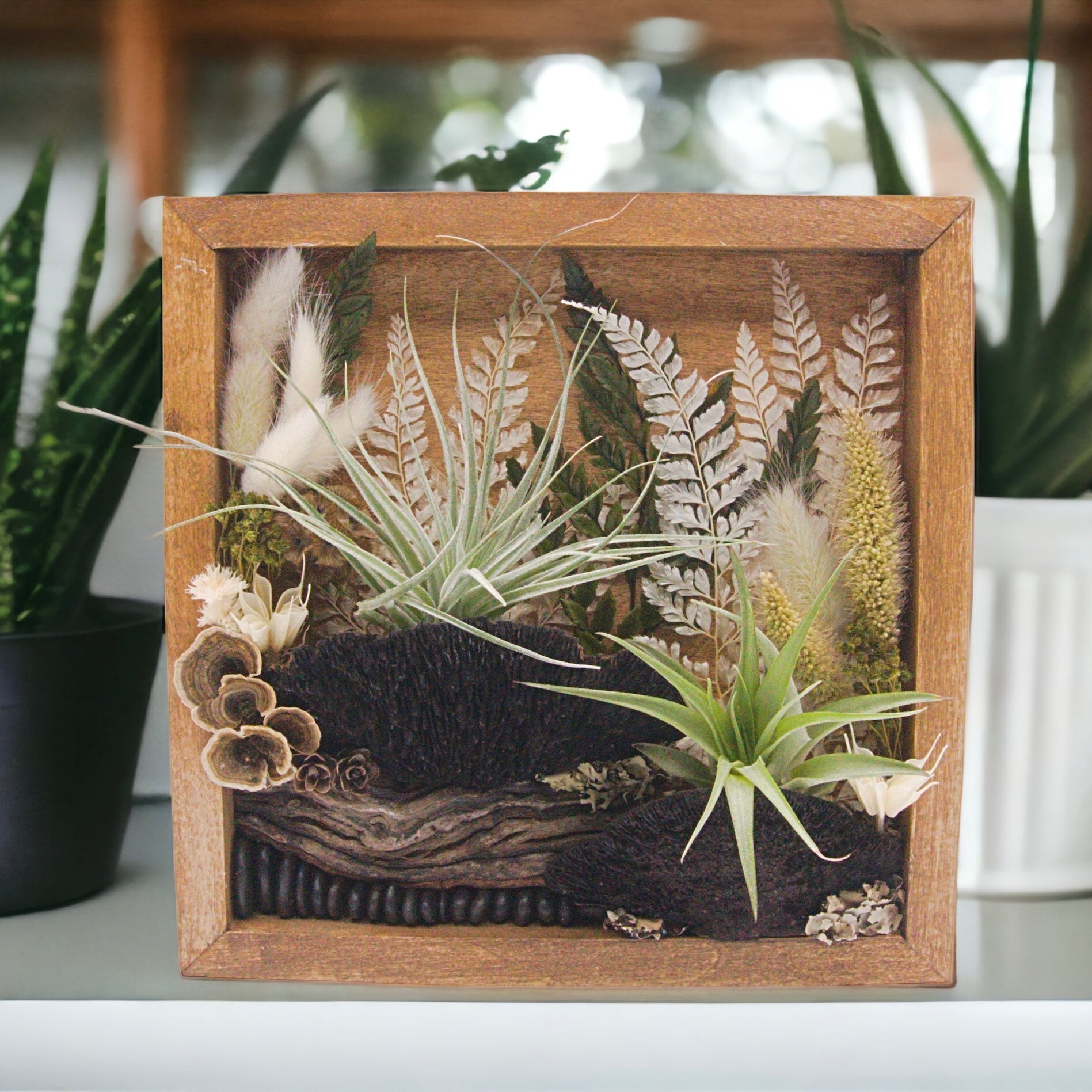 Antique walnut-stained wooden box frame filled with dried flowers, moss, wood, dried mushrooms and two airplants