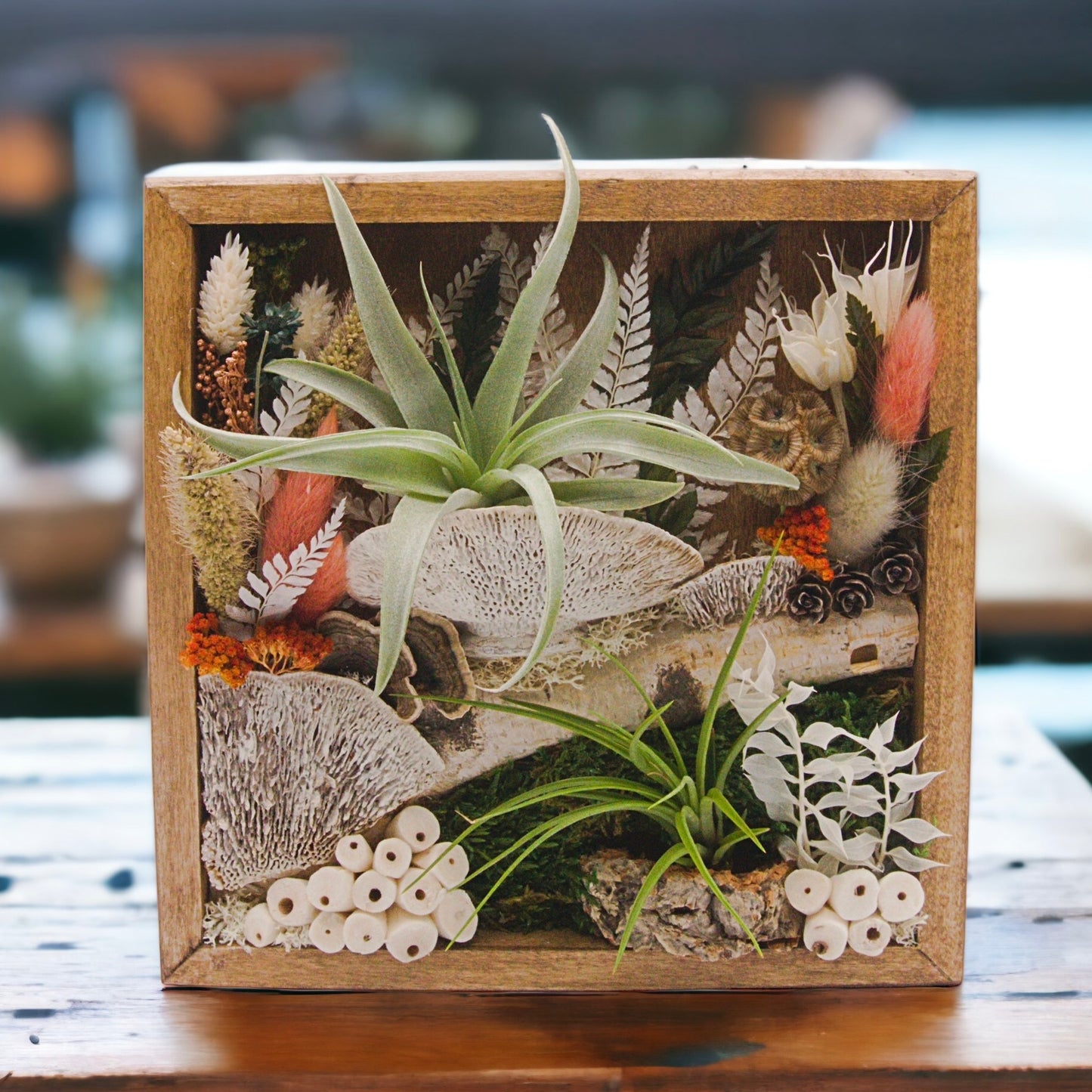 Antique walnut-stained wooden box frame filled with dried flowers, moss, wood, dried mushrooms and two airplants