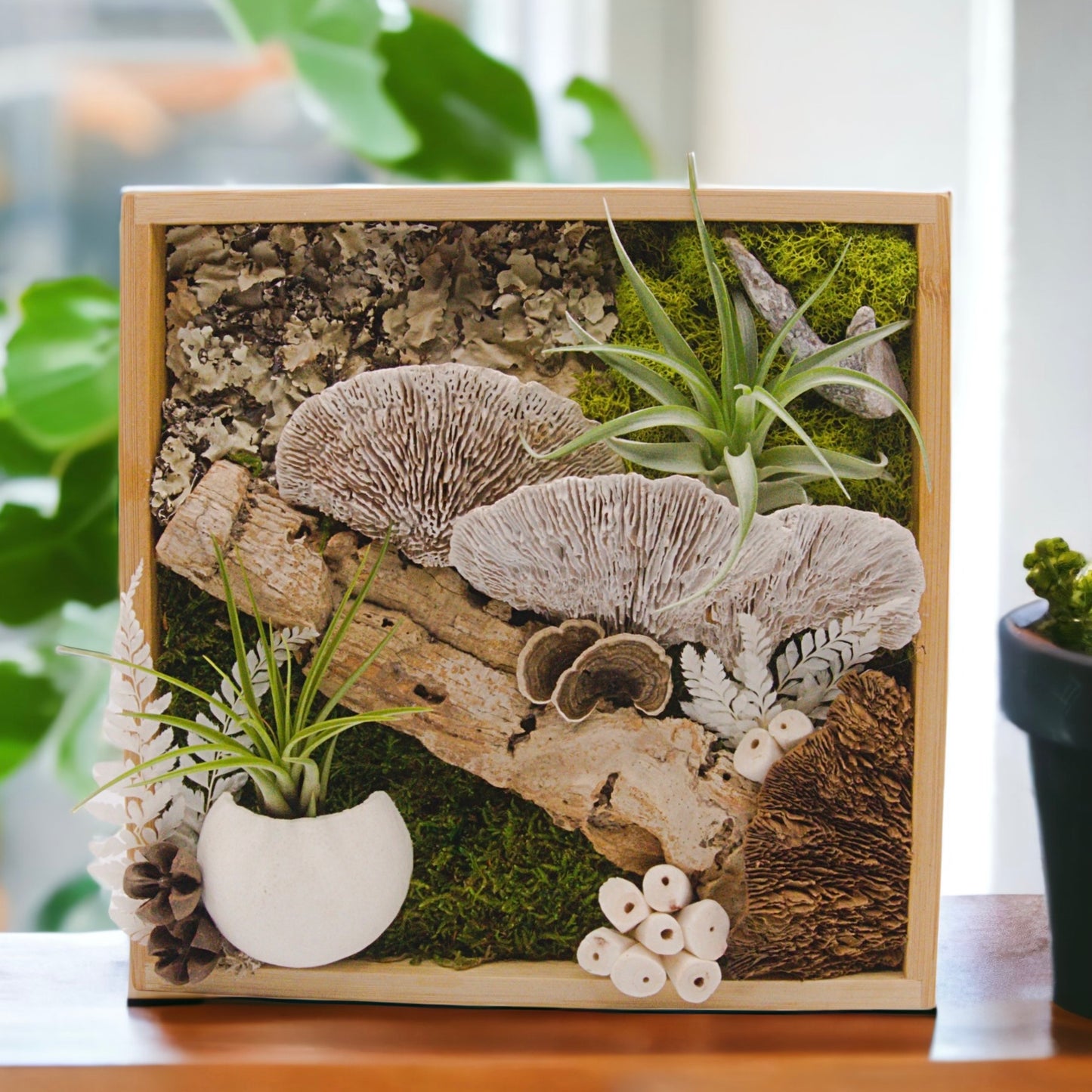 Bamboo box frame filled with moss, preserved mushrooms, wood and two airplants
