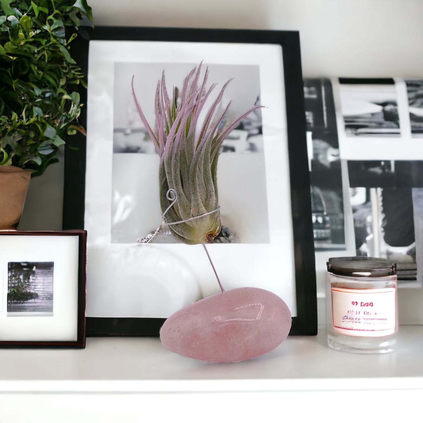 Rose quartz palm crystal airplant holder