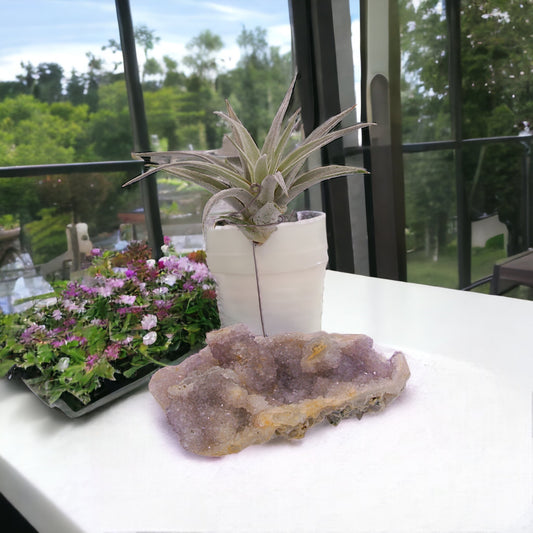 Chalcedony & Apophyllite Crystal Airplant Holder