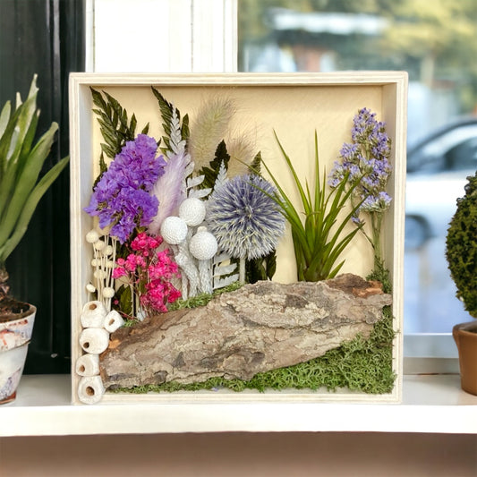 Airplant Art Frames - Square Natural Purple Flowers