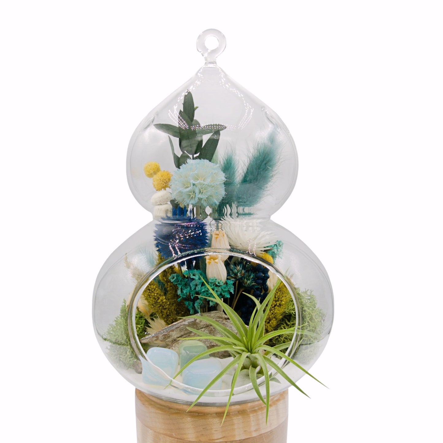 Airplant Moroccan-Inspired Terrarium