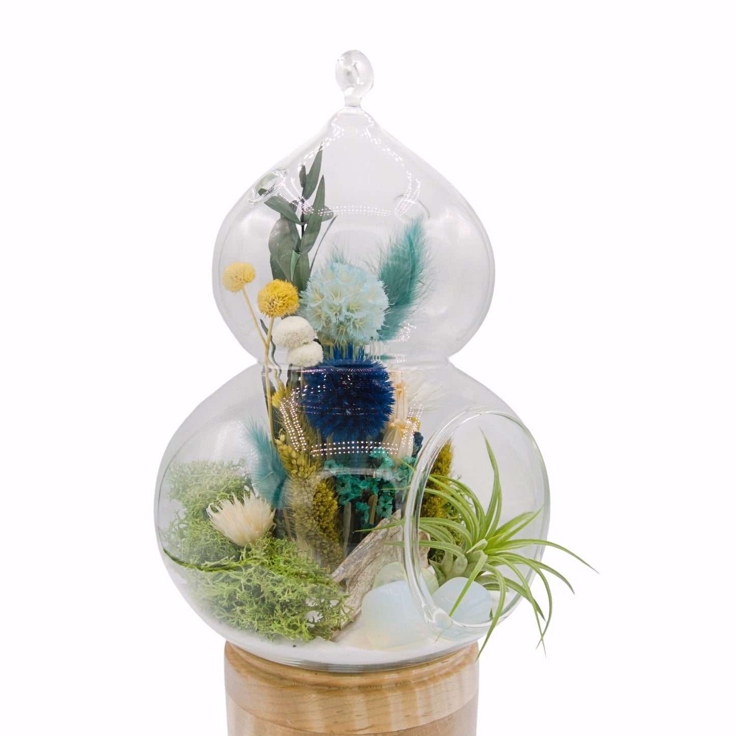 Airplant Moroccan-Inspired Terrarium
