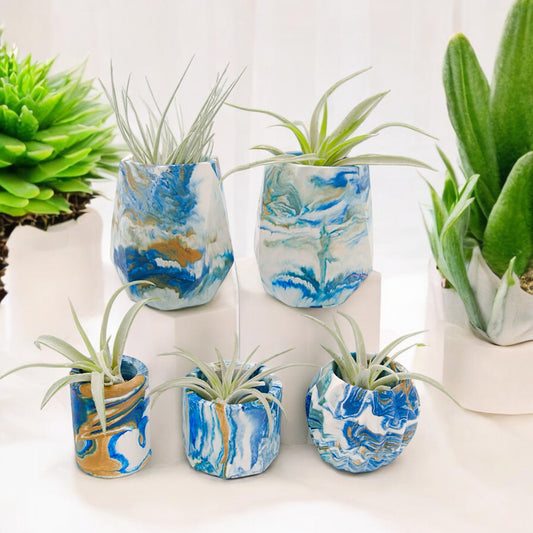 Blue turquoise white and gold hydrostone airplant pots