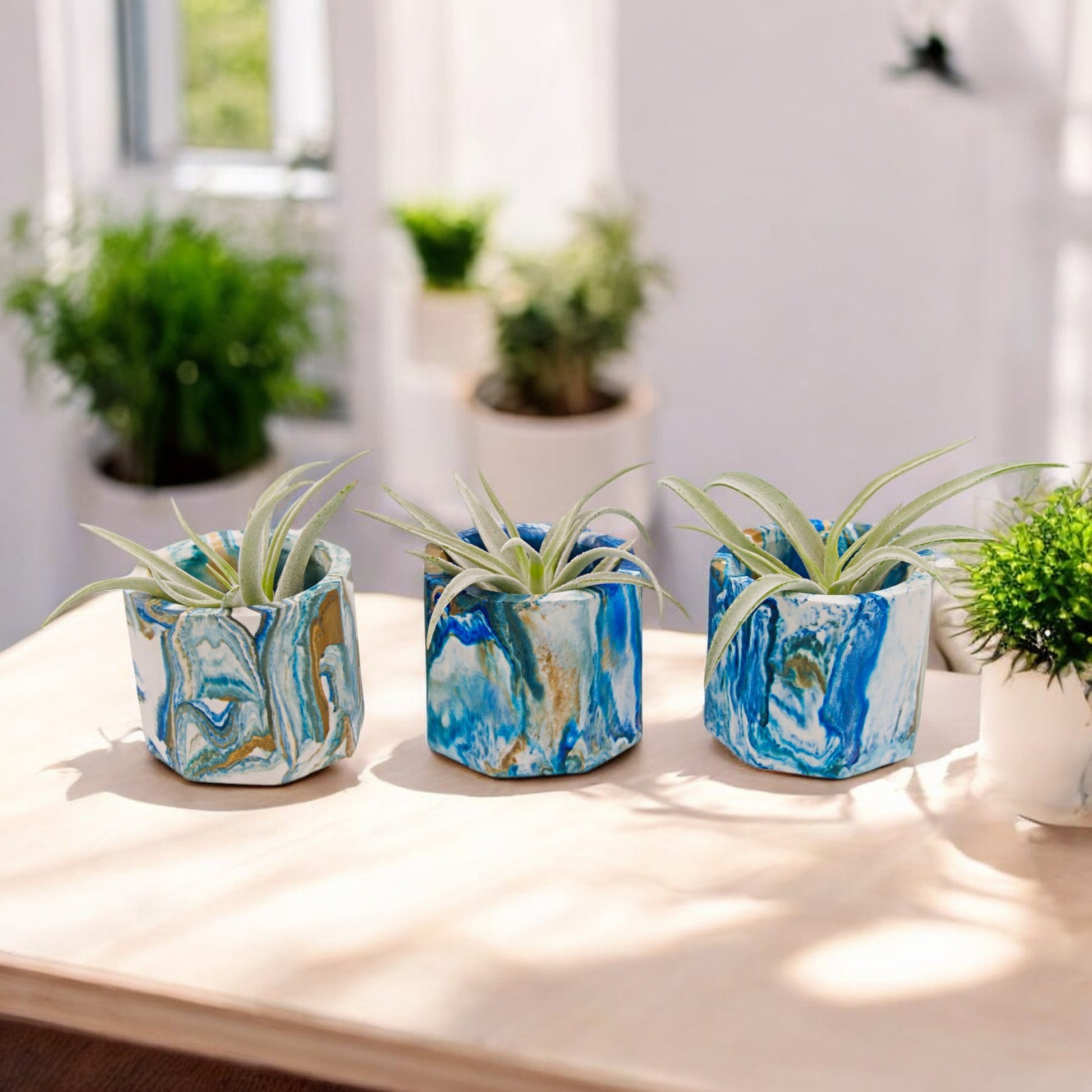 Blue turquoise white and gold hydrostone airplant pots
