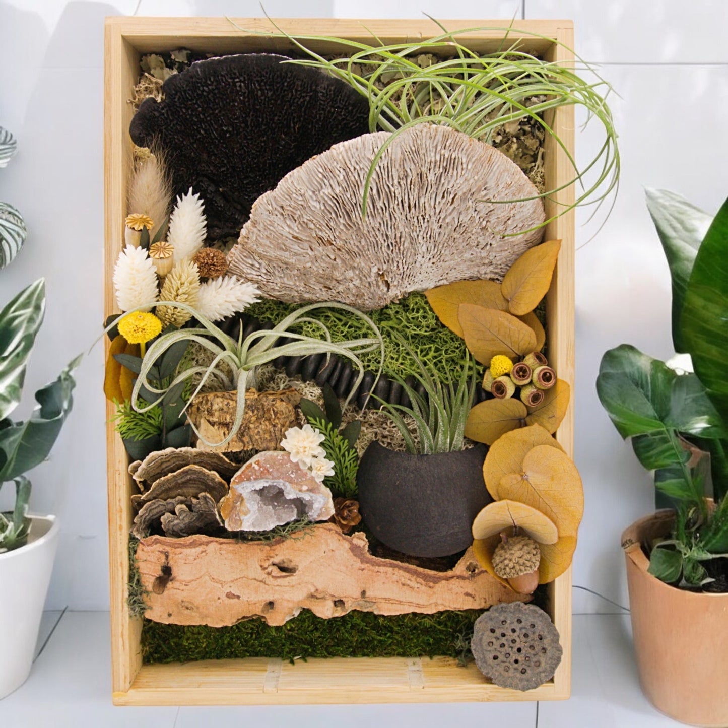 Cadre de plante aérienne en bamboo - Champignons noir et blancs avec un cristal
