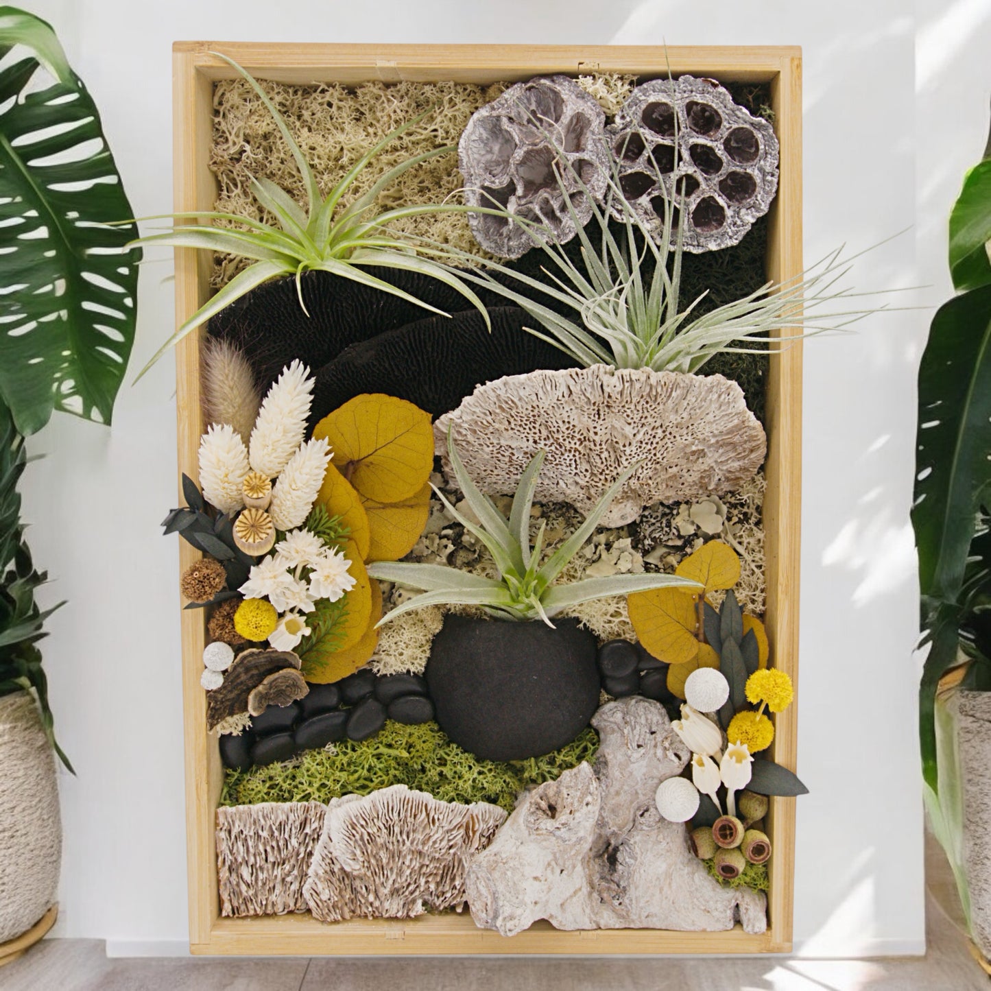 Bamboo Airplant Frames - Black & White Mushrooms