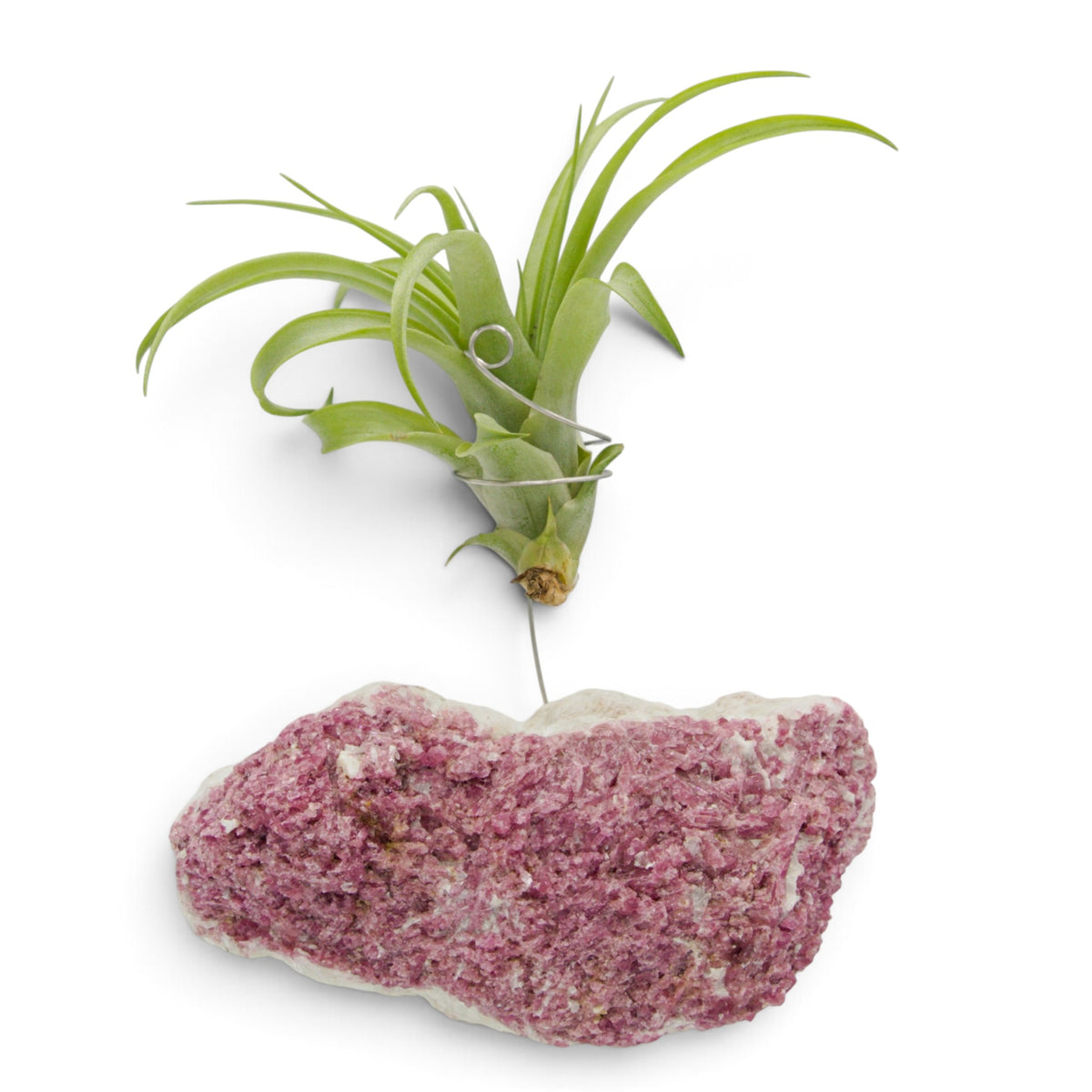 Pink Tourmaline Crystal Air Plant Holder
